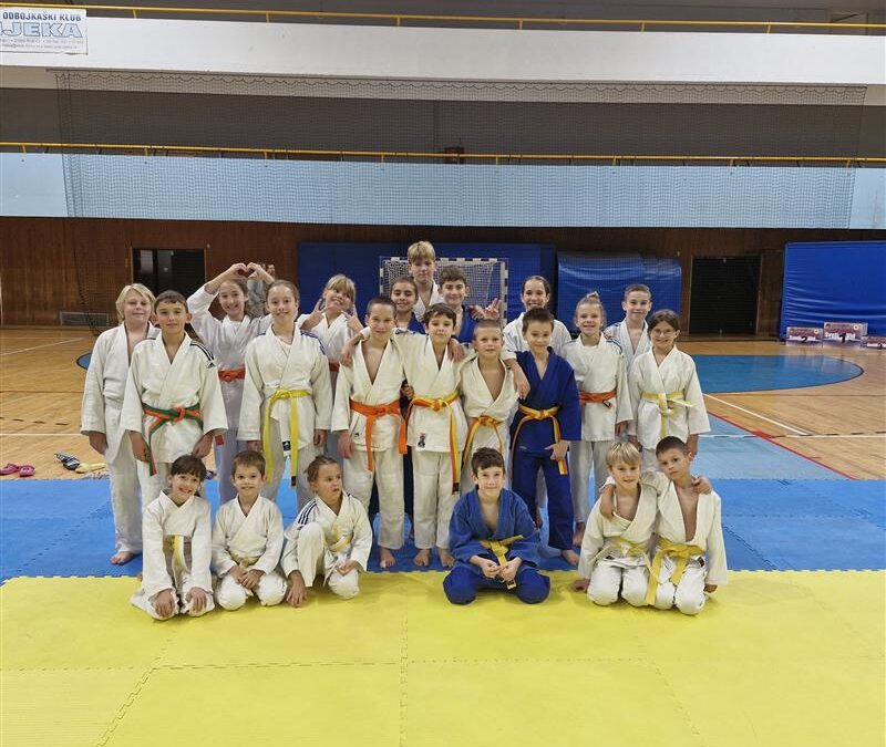 TIMSKI DUH I SPORTSKO SRCE NAŠIH JUDOKA PONOVNO SU ZASJALI