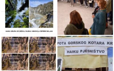 NOVA ŠK. GODINA – NOVI HAIKU USPJESI