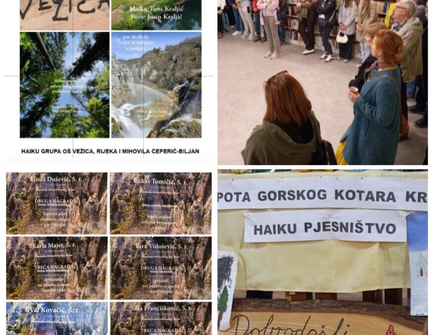 NOVA ŠK. GODINA – NOVI HAIKU USPJESI