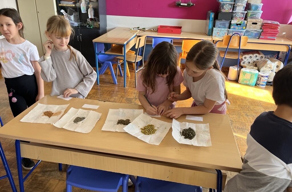 MIRISNA AVANTURA KROZ IGRU OSJETILA U 1.C RAZREDU