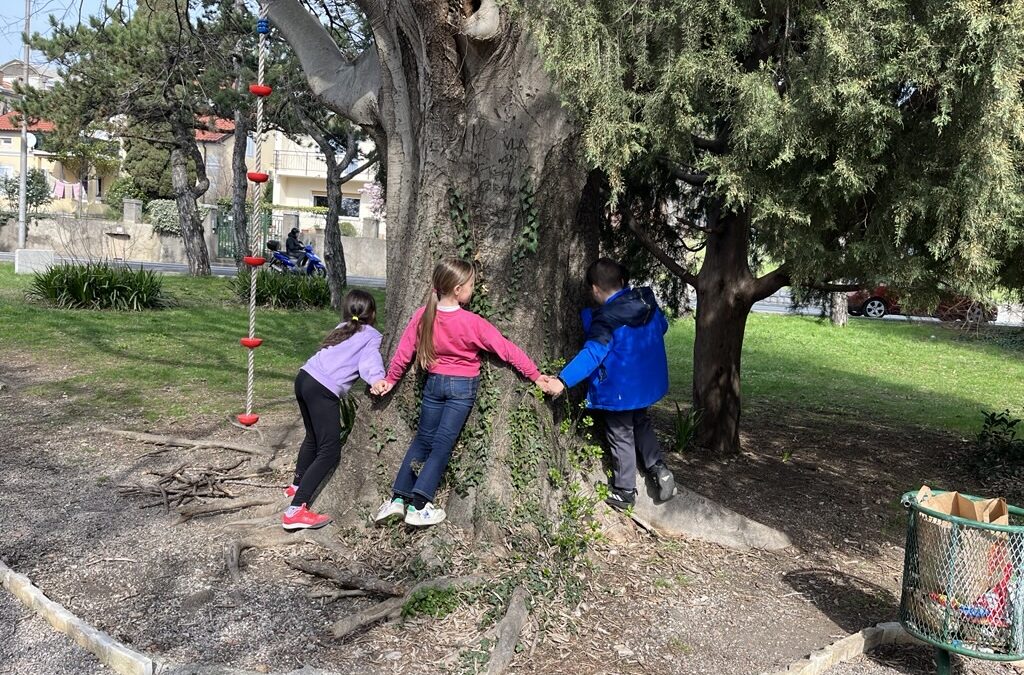 ŠTO NAM DRVEĆE GOVORI?