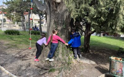 ŠTO NAM DRVEĆE GOVORI?