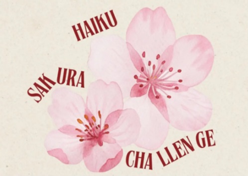 HAIKU USPJESI – RIJEKA, TORONTO…